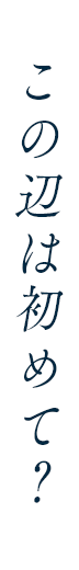 この辺は初めて?
